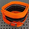Pig Dog Neck Collar Rip Collar- Small, Medium, Large - Image 6