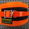 Pig Dog Neck Collar Rip Collar- Small, Medium, Large