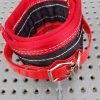 Pig Dog Neck Collar Rip Collar- Small, Medium, Large - Image 4